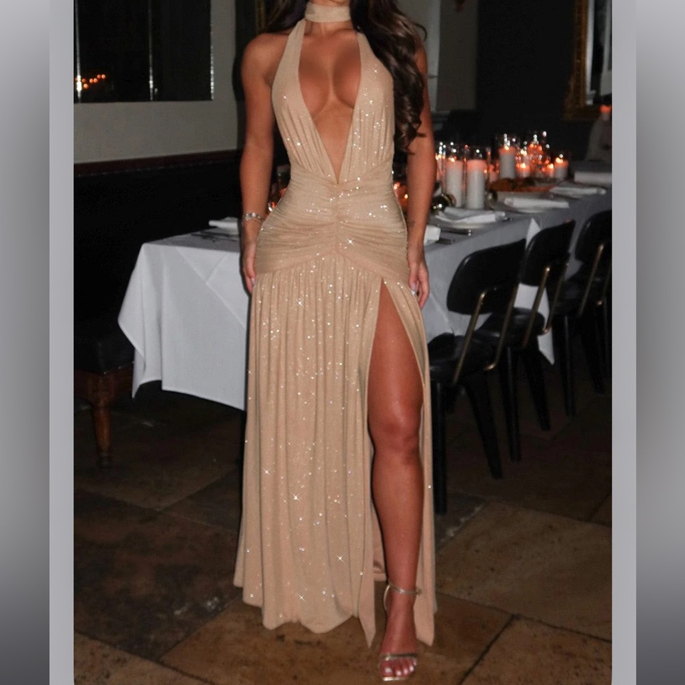 Shimmery Elegant Dress